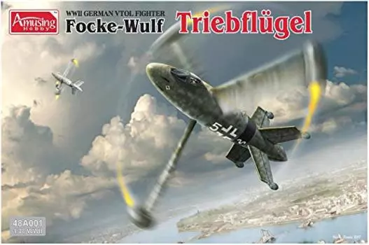 RYE FIELD MODEL Amusing Hobby AH48A001 1/48 FOCKE-WULF Propelling Wings, Multi-Colour