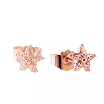 S925 Sterling Silver Stud Earrings Women s Rose Gold Star Earrings Zhuhai Star Stud Earrings