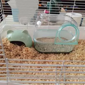Съемный туалетный ящик для хомяка, прозрачный контейнер для ванны с песком для бурундука, карликовой мыши, крысы L синий