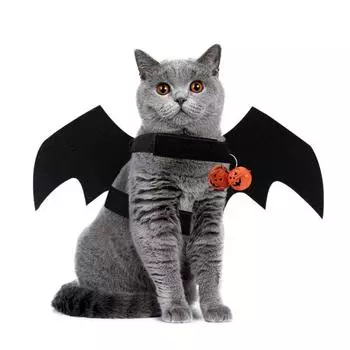 С колокольчиком, шлейка с крыльями кошки, летучей мыши, черные/фиолетовые/оранжевые костюмы с крыльями собаки, вечерние костюмы для косплея S оранжевый
