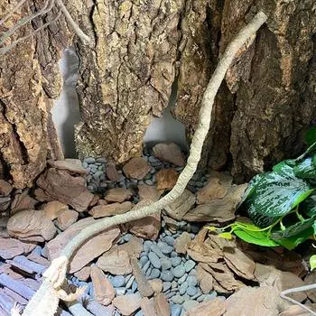 с присоской имитация рептилий ротанговые ящерицы лазающие лианы для ящериц гекконы 0.5M-Style A