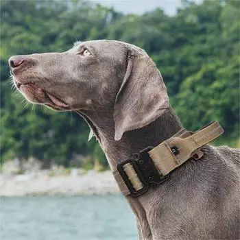 с пряжкой из цинкового сплава, тактический ошейник для собак, светоотражающий поводок для домашних животных для средних и больших собак L серый