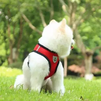 S-XL Поводок для домашних животных Веревочный жилет для кошек и собак Сетчатый дышащий шлейка для домашних животных фиолетовый