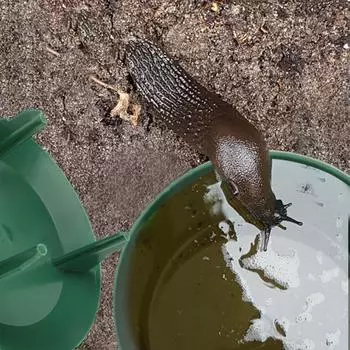 Садовая ферма Защитник Ловушка для улиток Ловец Домик для слизней Отпугиватель животных-вредителей Инструменты для ловушки Клетка для улиток Экологически чистые Отпугивание вредителей зелёный