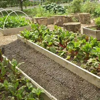 Садовая сетка, легко режется, коврик для кошачьего ската, средство от вредителей, защита от вредителей, садовый коврик против кошек, защита от животных, защита овощей чёрный