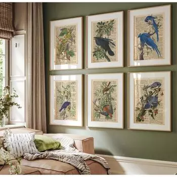Садовые птицы, гравюры на страницах старинных книг, ботанические животные, плакаты и гравюры, настенные картины, декор для гостиной и дома 21cm30cm NoFrame