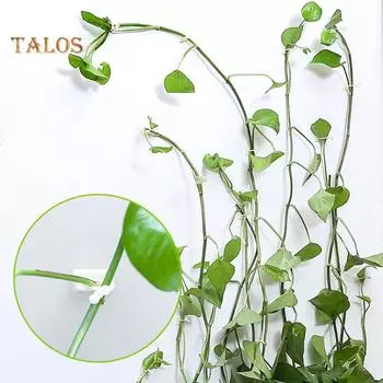 Садовые самоклеящиеся настенные приспособления для скалолазания, зажимы для домашнего держателя для виноградной лозы, крючок L