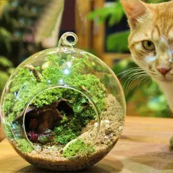 Садовый домашний стеклянный шар, подвесные чайные свечи, террариум A