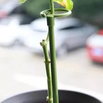 Садовый инструмент, рама для лазанья, устойчивая к ржавчине, практичная, прочная, поддерживающая опора 60cm