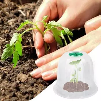 Садовый колпак для растений, колышек для крепления растений на земле, 6 шт. в упаковке One Size