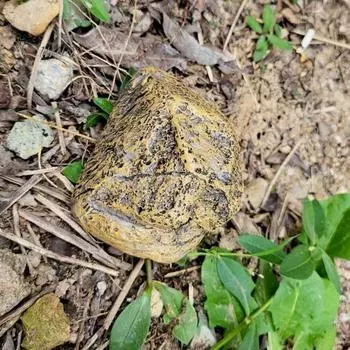 Садовый поддельный каменный ящик для хранения ключей, открытый двор, газон, имитация камня, смоляная статуя, украшение для дома, запасной ключ, секретный держатель, контейнер коричневый