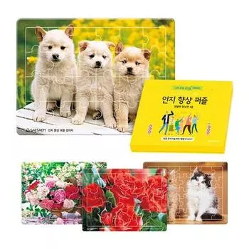 Saesam Senior Discrimination Improvement Board Puzzle Set of 4, Korean popular puzzles