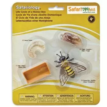 Светодиодная фигурка Safari 622716 Жизненный цикл медоносной пчелы, популярная игрушка в Корее