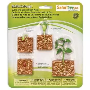 Светодиодная фигурка Safari 662416 Жизненный цикл растения зеленой фасоли, 1 шт., популярные игрушки в Корее