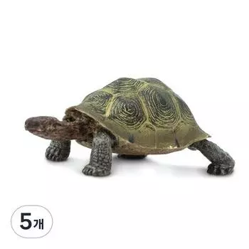 Safari Ltd Desert Tortoise Figure 295329, 5 pieces, popular toys in Korea