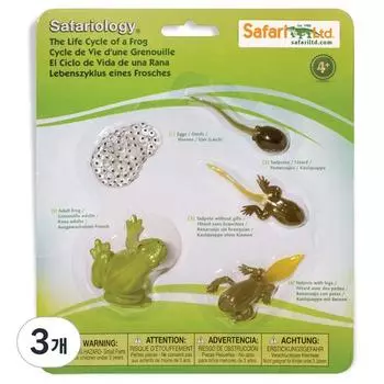 Фигурка Safari Ltd 269129 Жизненный цикл лягушки, 3 штуки, популярные игрушки в Корее