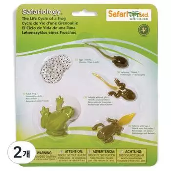 Safari Ltd Фигурка 269129 Жизненный цикл лягушки, 2 шт., популярные игрушки в Корее