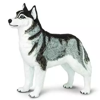 Safari Ltd Сибирский хаски Фигурка 255229, 1 шт., популярные игрушки в Корее