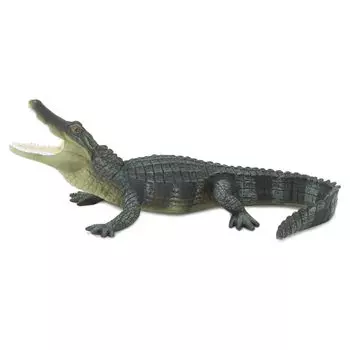 safari replica alligator
