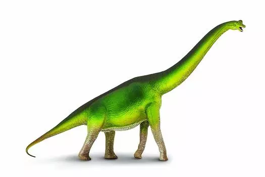 Safari Wild Safari Dinosaurs Brachiosaurus 300229