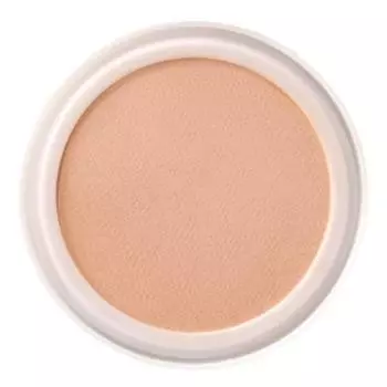 Saint Franc Skin Treatment Cushion Refill 12 г, 1 шт.