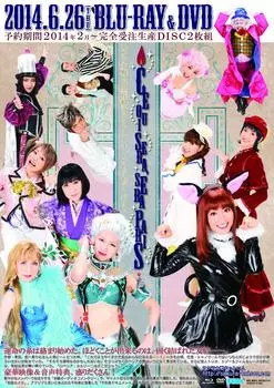 Sakura Wars Paris Flower Troupe Show 2014 Sera Sera ~Que Paris~ [DVD]
