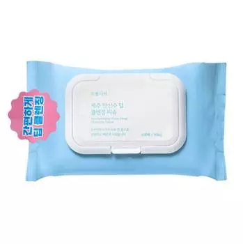 Салфетки для быстрого и глубокого очищения с газированной водой Plant Nara Jeju, 100 листов