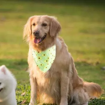 Салфетки для удаления слюны домашних животных, регулируемый ошейник для кошек, бандана с колокольчиком и принтом фруктов, тканевый ошейник для домашних животных