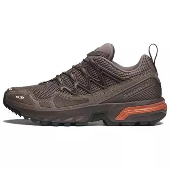 Salomon ACS+ OG осенние кроссовки унисекс коричневые железные папоротники L47706500 36