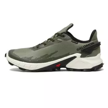 SALOMON Alpha Cross 4 GTX L41723000 ГЛУБОКИЙ ЛИШАЙНИК GR