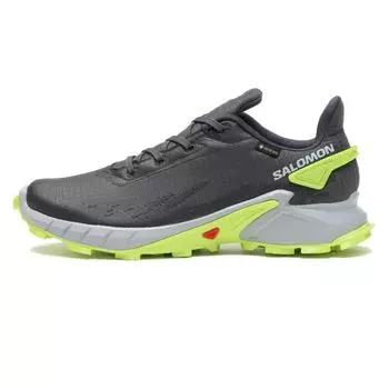 SALOMON Alpha Cross 4 GTX L47066700 EBONY PEARL BL