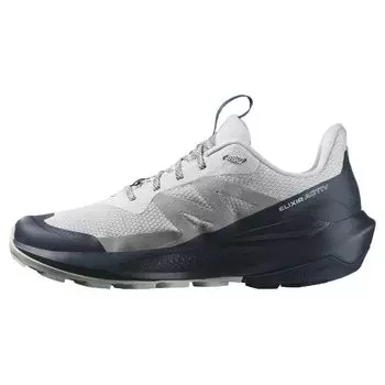 Мужские кроссовки Salomon Elixir Activ Glacier Grey Carbon Slate-Grey L47455400 44