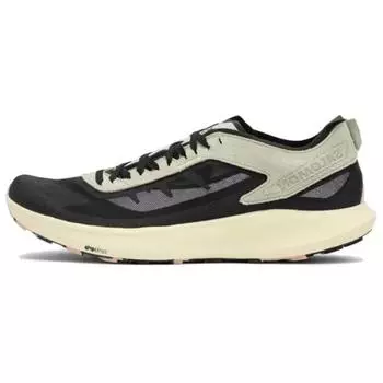 SALOMON Мужские кроссовки Pulsar PRG Desert Sage Black Moth L47132100 45