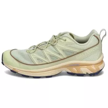 SALOMON Мужские кроссовки XT-6 Expanse Alfalfa Shortbread Green Aloe-Wash L47445600 42