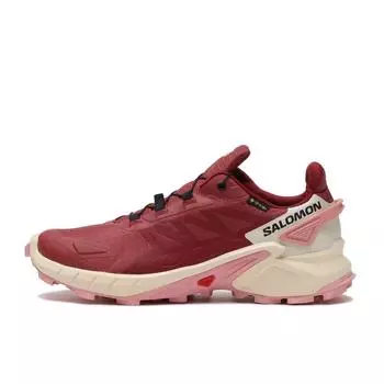 SALOMON Supercross 4GTX W L47316800 Cohide Syrah 245 cm