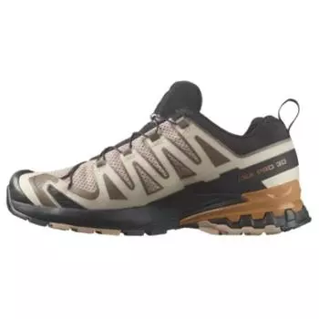 Salomon XA Pro 3D V9 Natural Sugar Almond Мужские кроссовки Tan Black L47272000 43