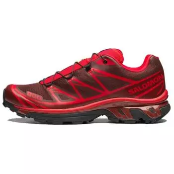 SALOMON XT 6 Rum Raisin 43