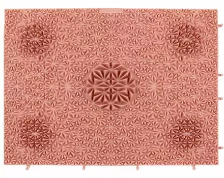 Салон акупунктуры Bikan Natura Товары для массажа стоп и акупунктуры Коврик для акупунктуры стоп Стимулирующий косметический коврик, который можно носить в своей комнате hb003 (Роза роза розовый