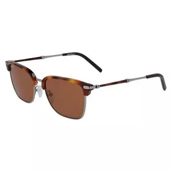 Salvatore Ferragamo Ferragamo SF 227S 085 Солнцезащитные очки Clubmaster мульти