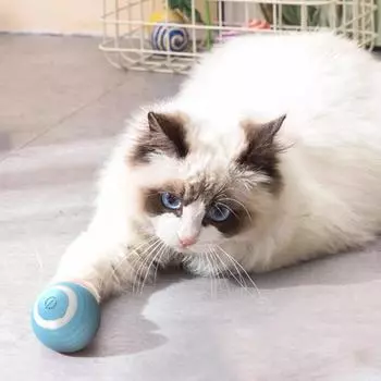 Самокатящиеся аксессуары для кошек Игрушки для котят Игрушки для кошек Самоходные игрушки для домашних животных Электрические игрушки для кошек Мячи Товары Главная 42mm