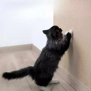 Самоклеящийся, разрезаемый коврик для ползания кошек, доска для царапания кошек, коврик для царапания кошек, устойчивый к царапинам, диван для дома с защитой от царапания кошек 30*30cm чёрный