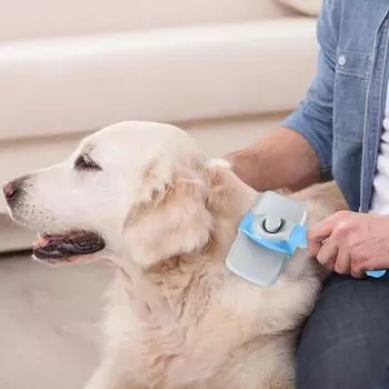 Самоочищающаяся щетка для кошек, щетка для ухода за домашними животными, щетка для линяющих собак, массажная расческа, инструмент для удаления шерсти, принадлежности для собак, аксессуары для домашних животных зелёный