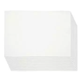 Sanbelm Ag антибактериальное полотенце для посуды Bistro Sensei антибактериальное Story of Silver Thread белое 30 x 40 см набор из 10 шт. сделано в Японии устойчиво к запахам белый