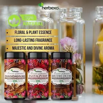 Сандаловое дерево (Чандан), Oud and Rose Pure Attar Fragrant Dhoop Sticks Trio Pack Длительные величественные ароматы Ittar 100% натуральные