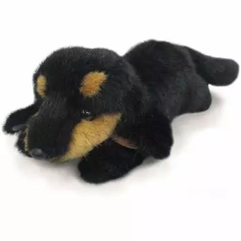 Sanei Boeki Грациозная попрошайничающая СОБАЧКА Такса Черный Подпалый Мягкая Игрушка Общая Длина 28 см I-6865 &