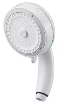 SANEI Shower Head Face Mist/Scalp Home Esthetics PS3060-80XA-MW2