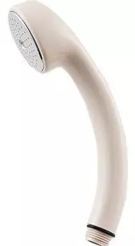 SANEI shower head with adapter PS30-80X-I