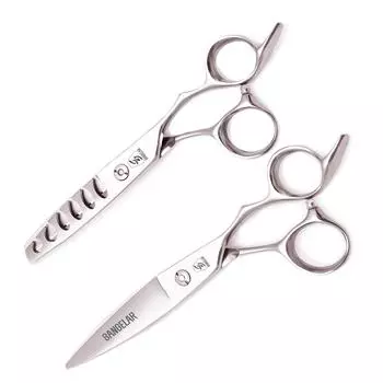 Sangelar 6 дюймов профессиональные ножницы для волос парикмахерские семейные с использованием режущих ножниц филировочные ножницы парикмахерские инструменты 6 Cutting серебряный