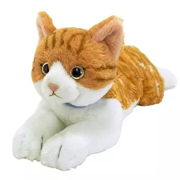 Sanlemon Knee Cat Chashiro M Stuffed Animal 471618cm P-7802