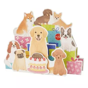 Sanrio Melody Card Поздравительная открытка с днем рождения Собачья музыкальная шкатулка Открытка Возможна отправка за границу JPME56-3 SANRIO 627402